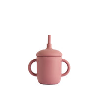 Dusty Rose Straw Sippy Cup