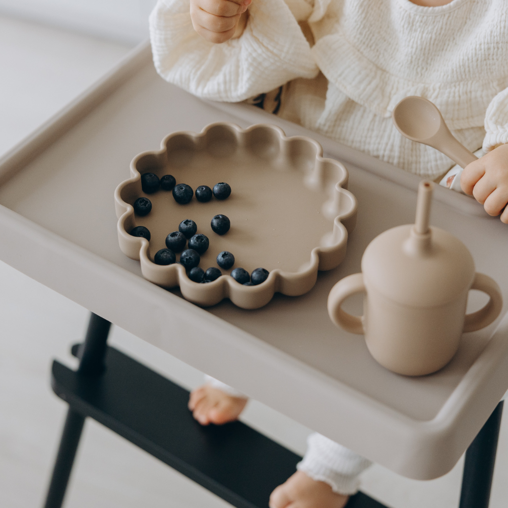 Baby Suction Plates