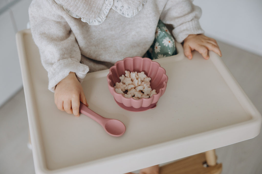 Baby Suction Bowls